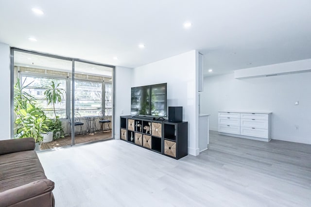 living room featuring light hardwood / wood-style flooring