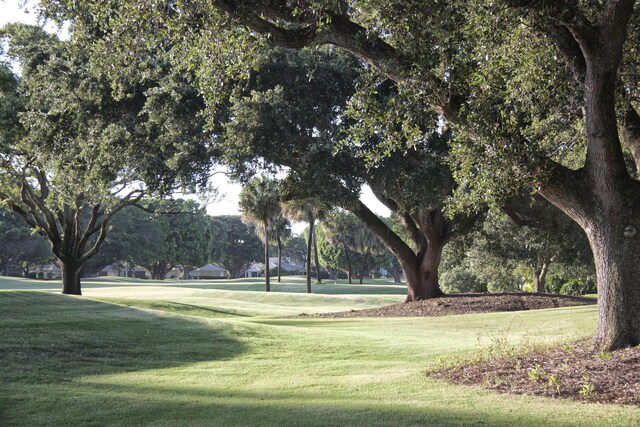 view of community featuring a yard