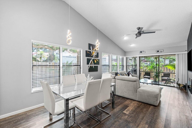 dining space featuring plenty of natural light and dark hardwood / wood-style floors