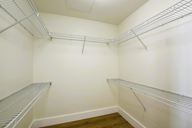 walk in closet with dark hardwood / wood-style floors