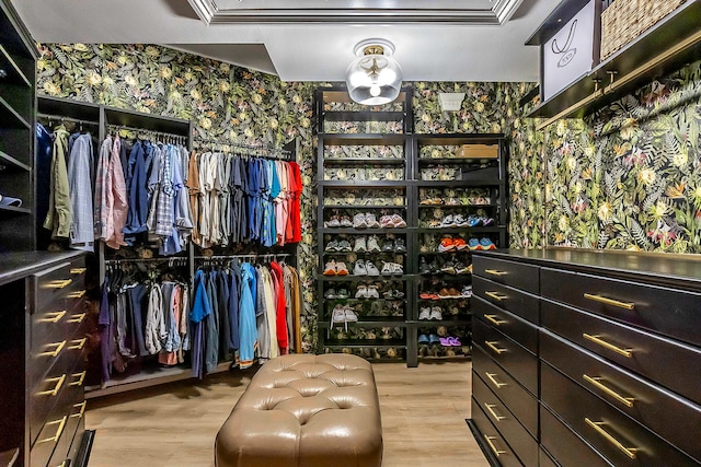 walk in closet featuring light hardwood / wood-style floors