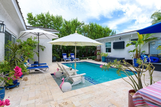 view of swimming pool featuring a patio