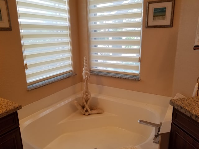 bathroom featuring vanity and a bathing tub