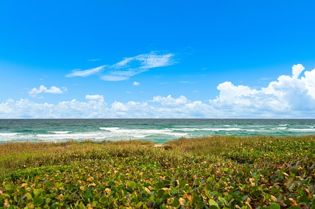 property view of water with a view of the beach