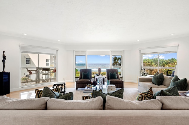 living room with ornamental molding and a wealth of natural light