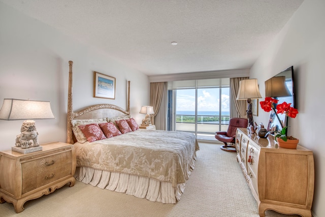 carpeted bedroom featuring a textured ceiling and access to exterior