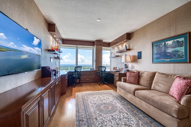 living room with a textured ceiling and light hardwood / wood-style floors