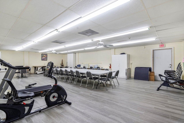 exercise room featuring hardwood / wood-style floors, a drop ceiling, and ceiling fan