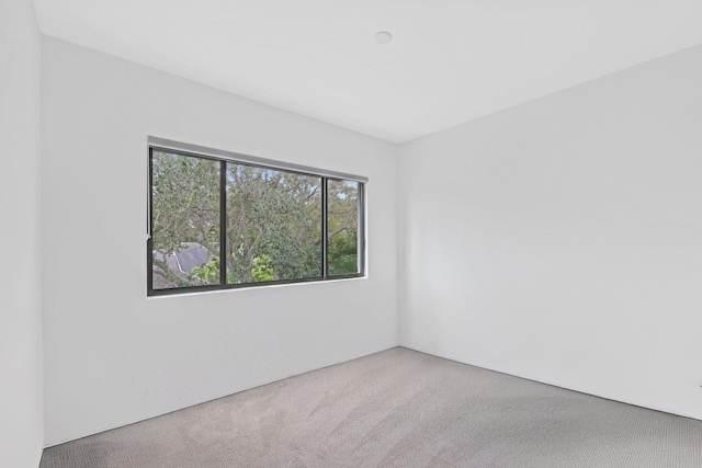 unfurnished room with carpet flooring