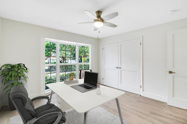 office space with ceiling fan and light hardwood / wood-style floors