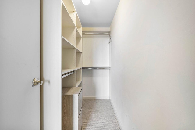 spacious closet featuring light colored carpet