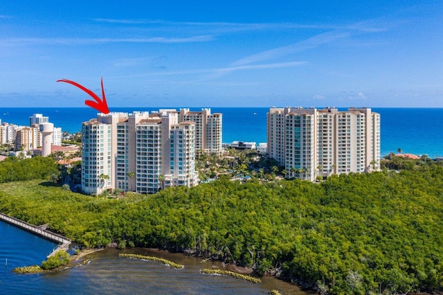 bird's eye view featuring a water view