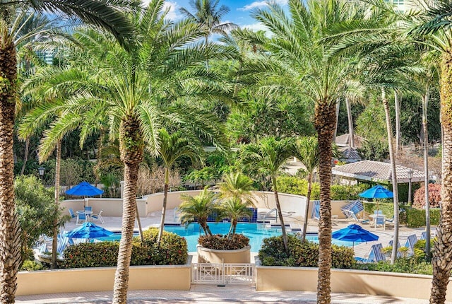 view of pool with a patio