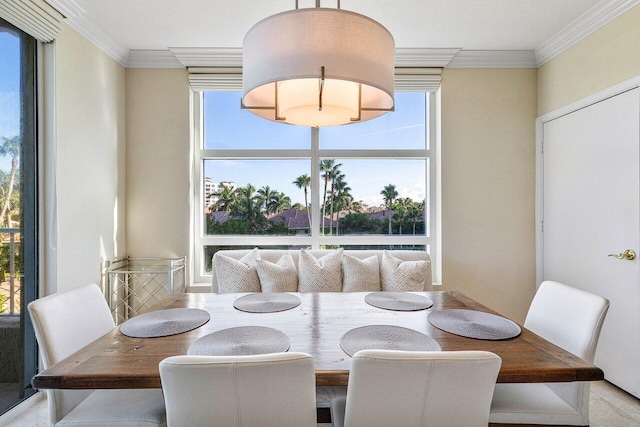 dining room with ornamental molding, plenty of natural light, and breakfast area