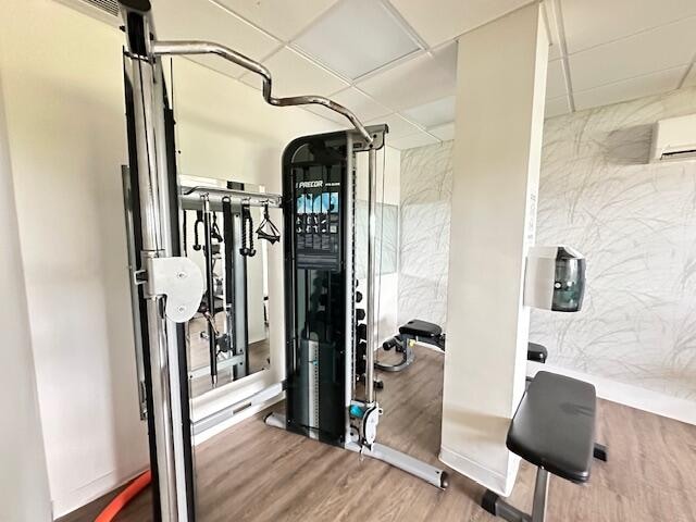 workout area with hardwood / wood-style floors, a wall mounted AC, and a paneled ceiling