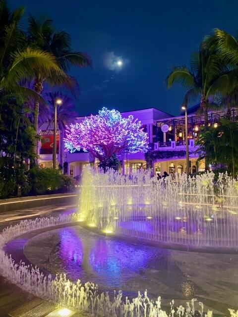 view of pool at night