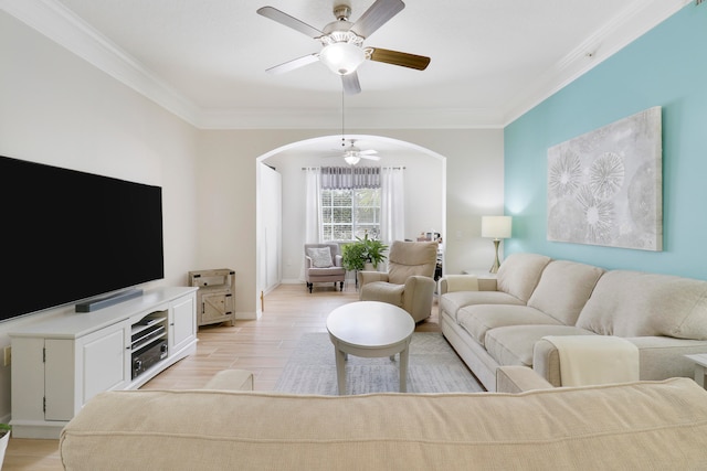 living room featuring light hardwood / wood-style floors, ceiling fan, and crown molding