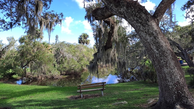 view of property's community featuring a lawn and a water view