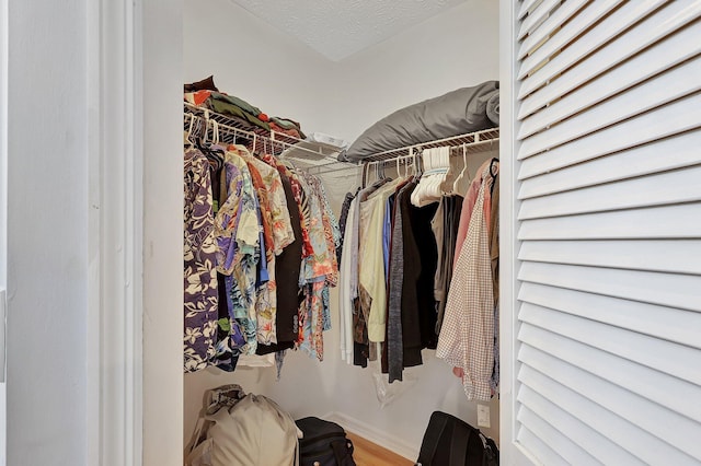 walk in closet featuring wood-type flooring