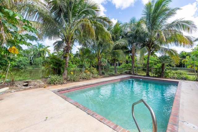 view of pool featuring a patio