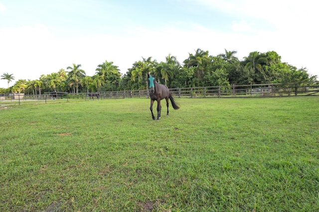 view of yard featuring a rural view