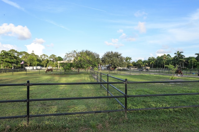 view of yard with a rural view