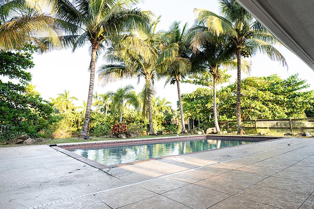 view of swimming pool with a patio