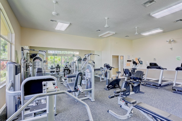 workout area featuring a wealth of natural light and a textured ceiling