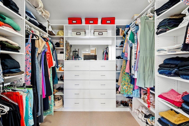 spacious closet with light colored carpet