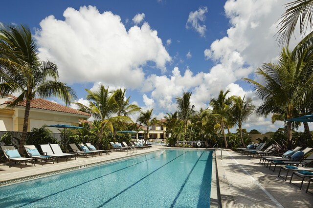 view of swimming pool featuring a patio