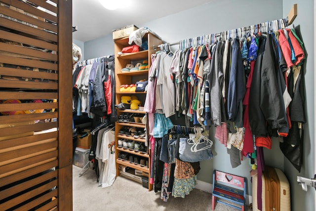 spacious closet with light carpet