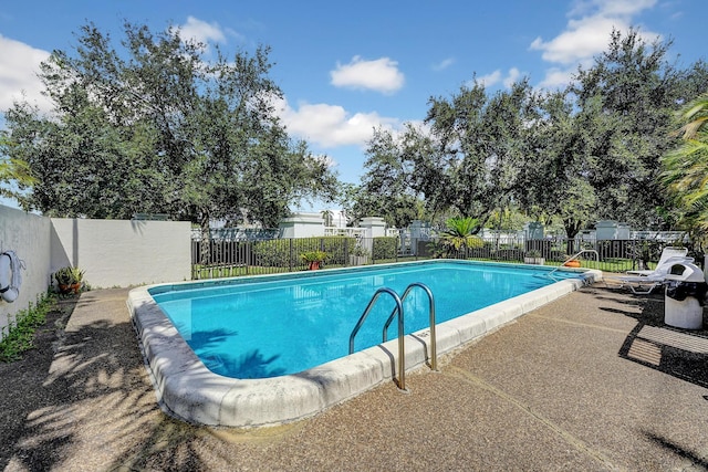 view of swimming pool featuring a patio area