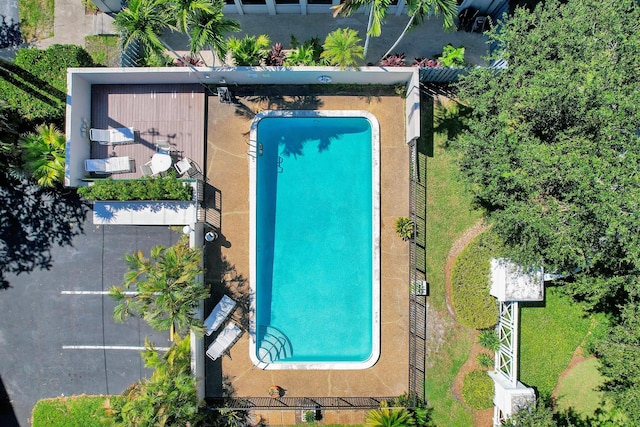 view of swimming pool featuring a lawn