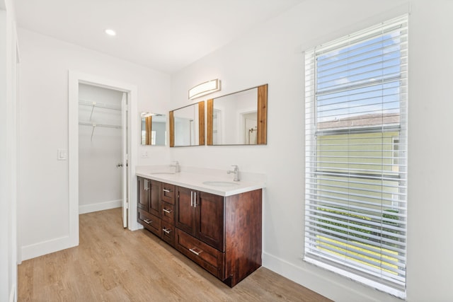 bathroom featuring wood-type flooring and vanity