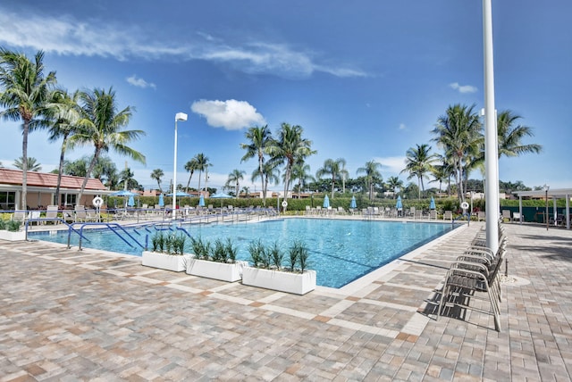 view of swimming pool featuring a patio