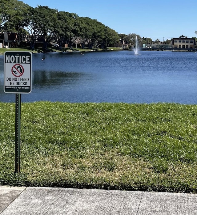 water view