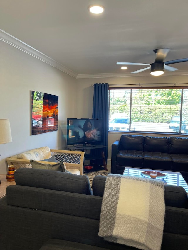 living room with ceiling fan and crown molding