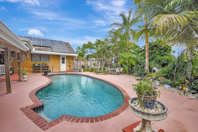 view of pool with a patio area