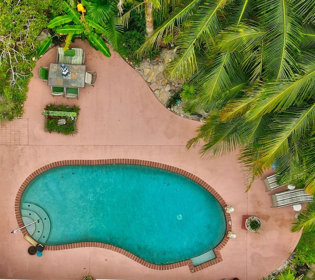 view of swimming pool