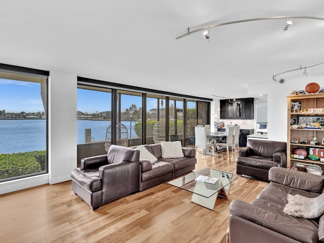 living room featuring light hardwood / wood-style floors and a water view