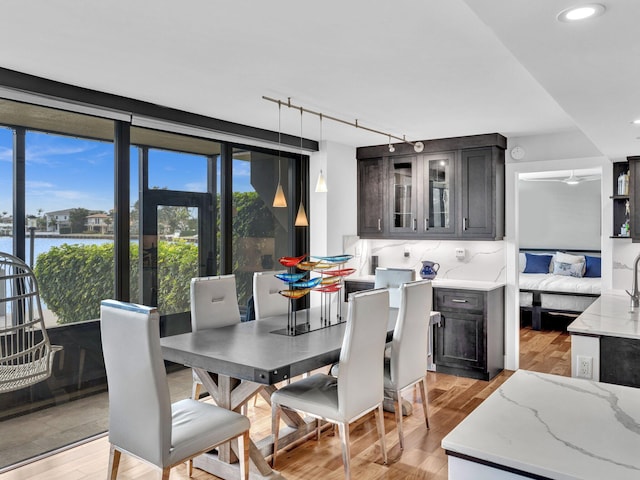 dining area featuring a water view, floor to ceiling windows, light hardwood / wood-style flooring, and rail lighting