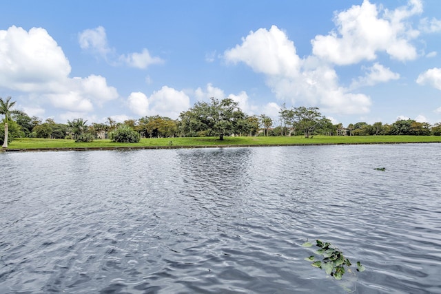 property view of water