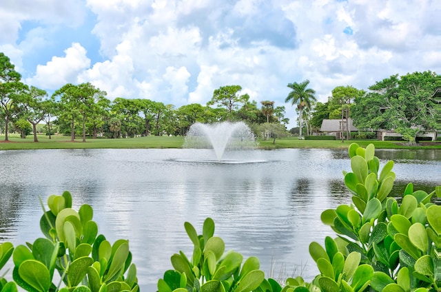 411 4th Ter, Palm Beach Gardens, FL 33418 - water view