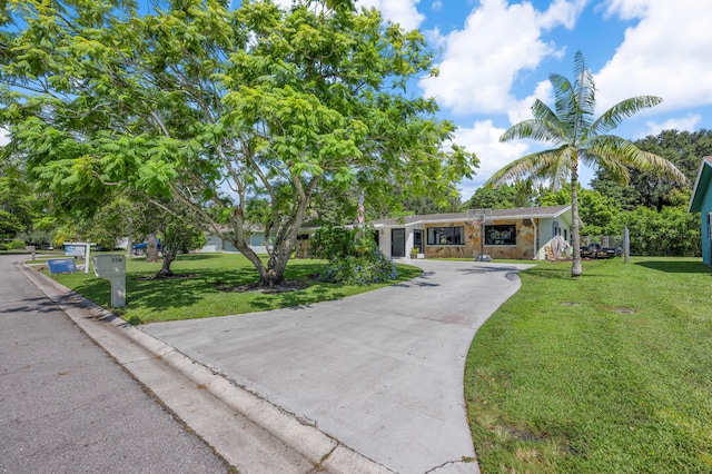 ranch-style house featuring a front lawn