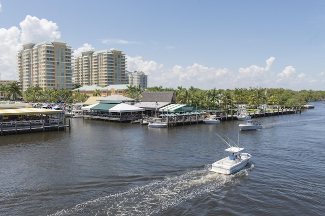 property view of water