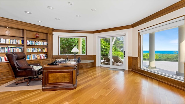 home office featuring ornamental molding, a water view, and light hardwood / wood-style floors