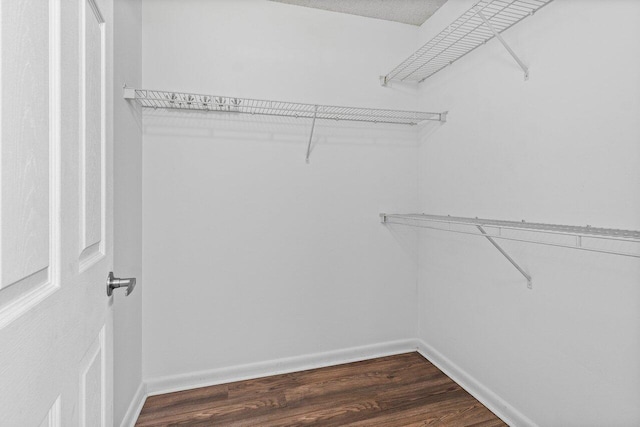 walk in closet with wood-type flooring