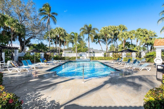 view of pool with a patio area