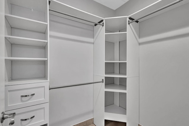 spacious closet featuring wood-type flooring