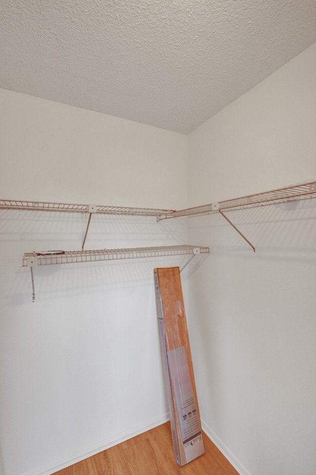 walk in closet featuring light hardwood / wood-style flooring